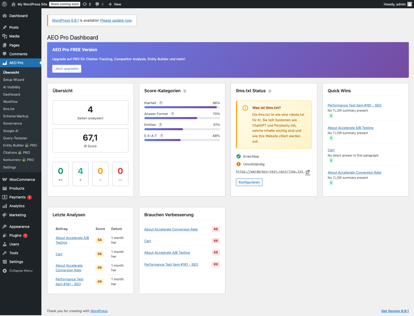 AEO Pro Dashboard aus der WordPress-Testinstallation
